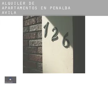 Alquiler de apartamentos en  Peñalba de Ávila