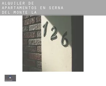 Alquiler de apartamentos en  Serna del Monte (La)