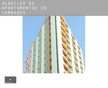 Alquiler de apartamentos en  Cambados