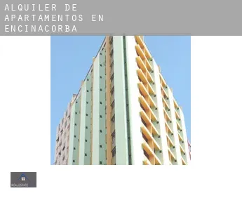 Alquiler de apartamentos en  Encinacorba
