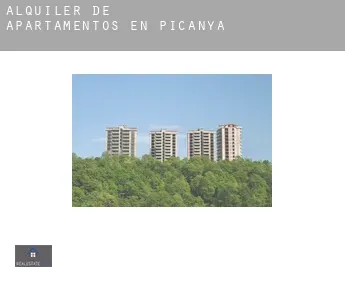 Alquiler de apartamentos en  Picanya
