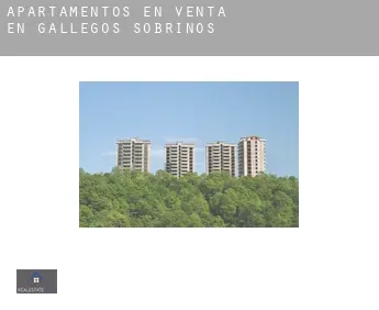 Apartamentos en venta en  Gallegos de Sobrinos