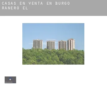 Casas en venta en  Burgo Ranero (El)