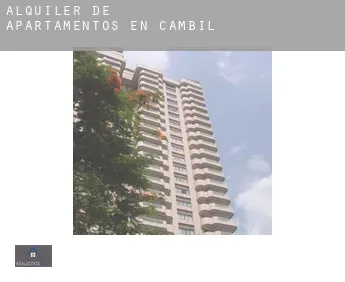 Alquiler de apartamentos en  Cambil