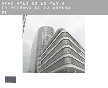 Apartamentos en venta en  Pedroso de la Armuña (El)