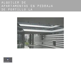 Alquiler de apartamentos en  Pedraja de Portillo (La)