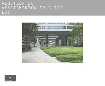 Alquiler de apartamentos en  Altos (Los)