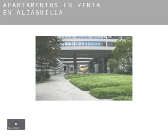 Apartamentos en venta en  Aliaguilla