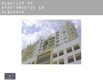 Alquiler de apartamentos en  Alboraya
