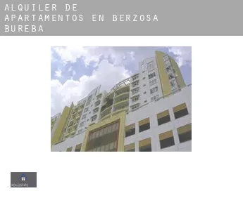 Alquiler de apartamentos en  Berzosa de Bureba