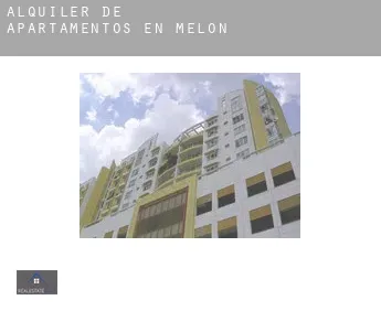 Alquiler de apartamentos en  Melón