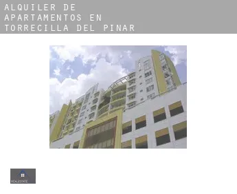Alquiler de apartamentos en  Torrecilla del Pinar