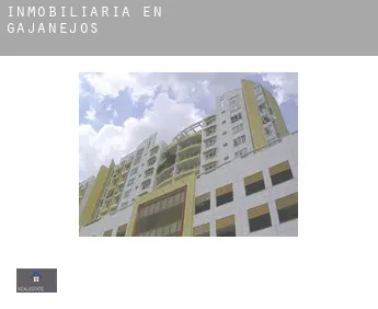 Inmobiliaria en  Gajanejos