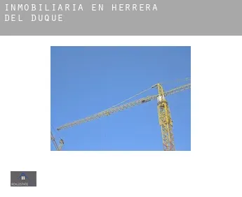 Inmobiliaria en  Herrera del Duque