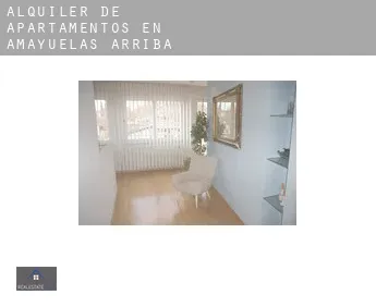 Alquiler de apartamentos en  Amayuelas de Arriba