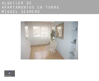 Alquiler de apartamentos en  Torre de Miguel Sesmero