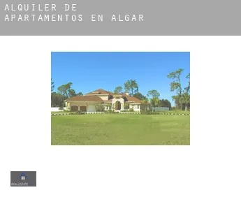 Alquiler de apartamentos en  Algar