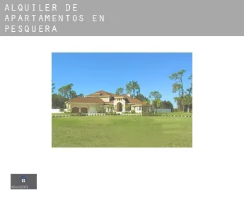 Alquiler de apartamentos en  Pesquera