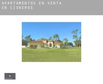 Apartamentos en venta en  Cisneros