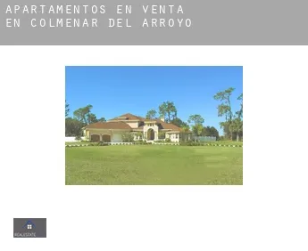 Apartamentos en venta en  Colmenar del Arroyo