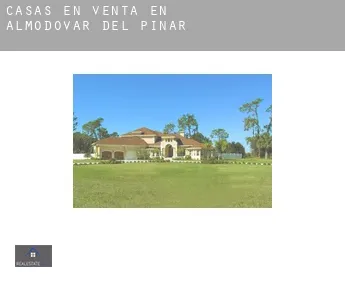 Casas en venta en  Almodóvar del Pinar