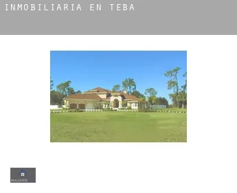 Inmobiliaria en  Teba