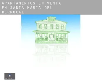 Apartamentos en venta en  Santa María del Berrocal