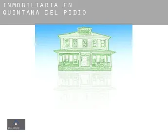 Inmobiliaria en  Quintana del Pidio