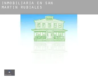Inmobiliaria en  San Martín de Rubiales