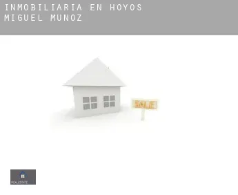 Inmobiliaria en  Hoyos de Miguel Muñoz