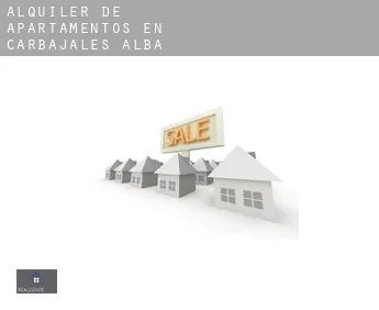 Alquiler de apartamentos en  Carbajales de Alba