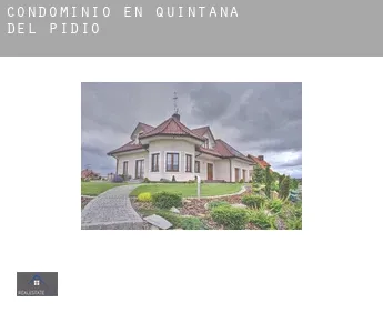 Condominio en  Quintana del Pidio