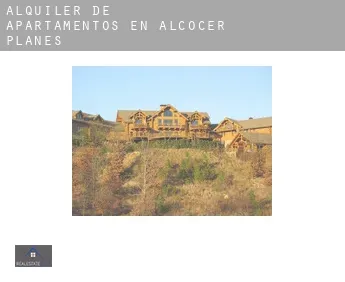 Alquiler de apartamentos en  Alcocer de Planes