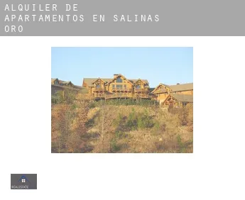Alquiler de apartamentos en  Salinas de Oro