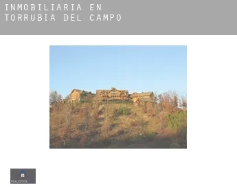 Inmobiliaria en  Torrubia del Campo