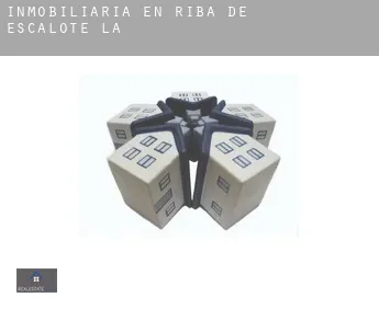 Inmobiliaria en  Riba de Escalote (La)