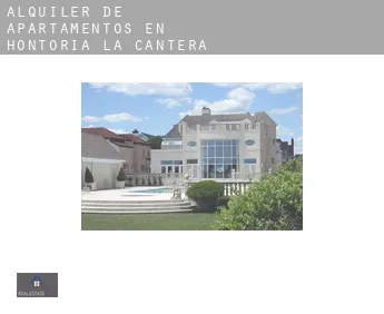 Alquiler de apartamentos en  Hontoria de la Cantera