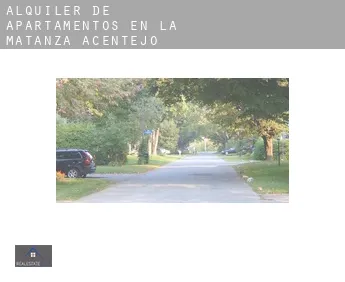 Alquiler de apartamentos en  La Matanza de Acentejo