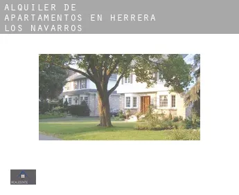 Alquiler de apartamentos en  Herrera de los Navarros
