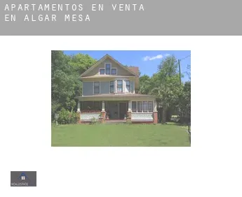 Apartamentos en venta en  Algar de Mesa