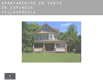 Apartamentos en venta en  Espinosa de Villagonzalo