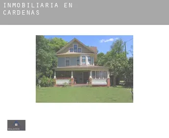 Inmobiliaria en  Cárdenas