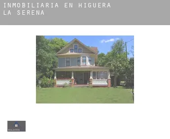 Inmobiliaria en  Higuera de la Serena