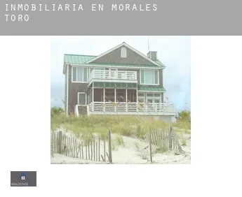 Inmobiliaria en  Morales de Toro