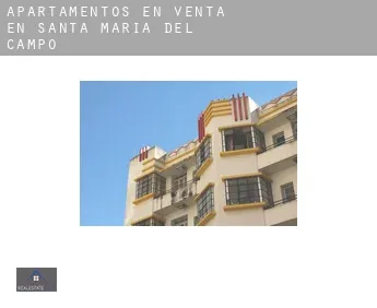 Apartamentos en venta en  Santa María del Campo