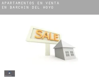 Apartamentos en venta en  Barchín del Hoyo