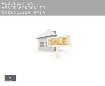 Alquiler de apartamentos en  Carballeda de Avia