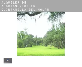 Alquiler de apartamentos en  Quintanilla del Molar