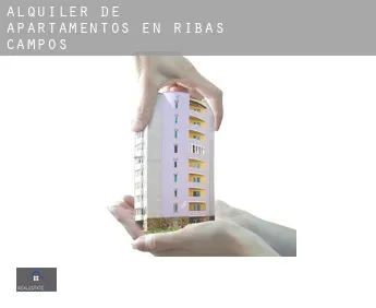 Alquiler de apartamentos en  Ribas de Campos