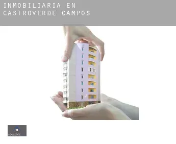 Inmobiliaria en  Castroverde de Campos